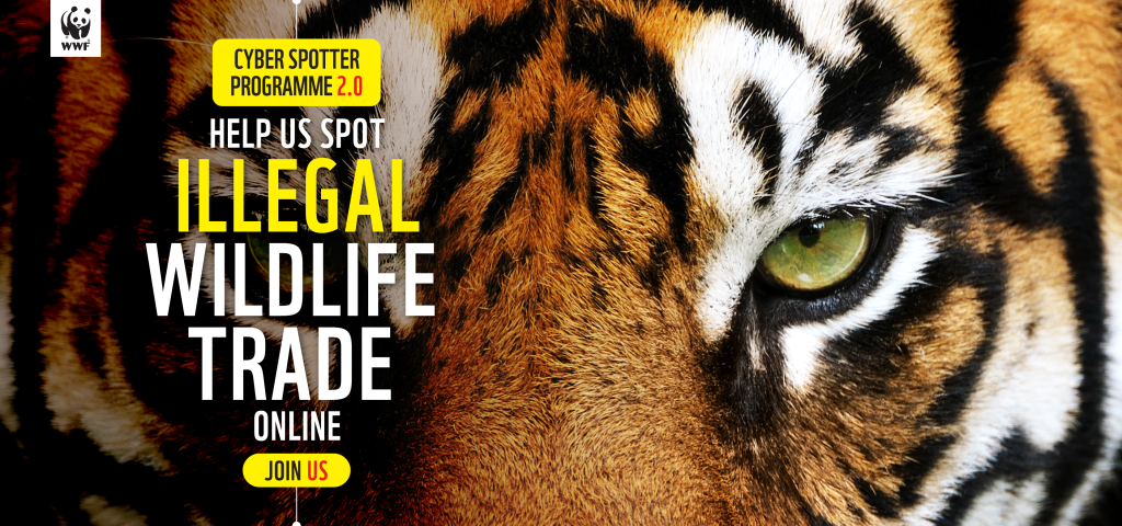 Help Us Spot Illegal Wildlife Trade Online - Cyberspotter